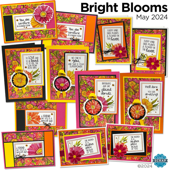 Bright Blooms Card Kit