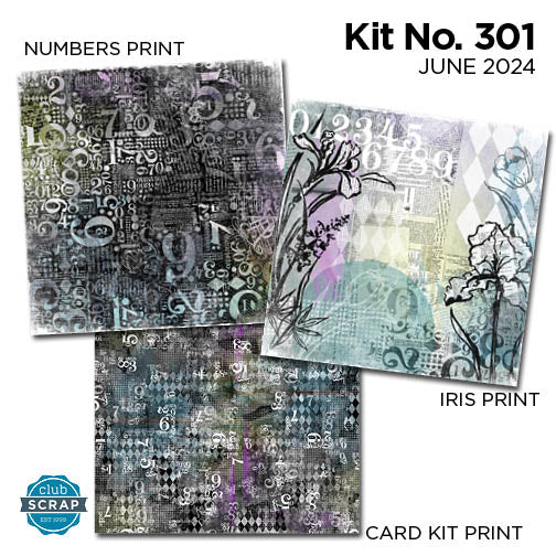Kit No. 301 12x12 Prints