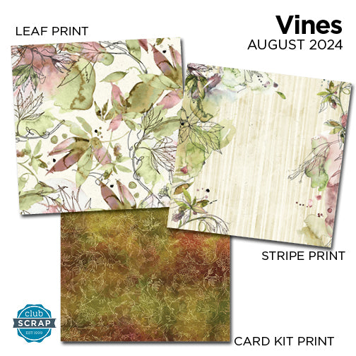 Vines 12x12 Prints