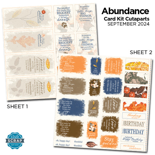 Abundance Card Kit