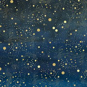 Starry Night 12x12 Prints